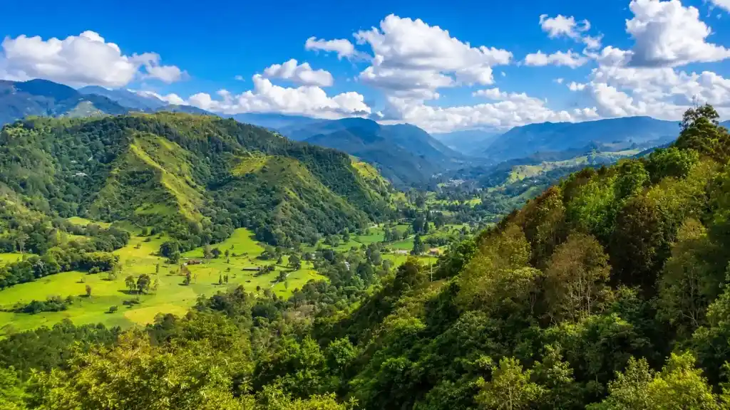 Paisaje del Quindío para planear un recorrido por el Eje Cafetero
