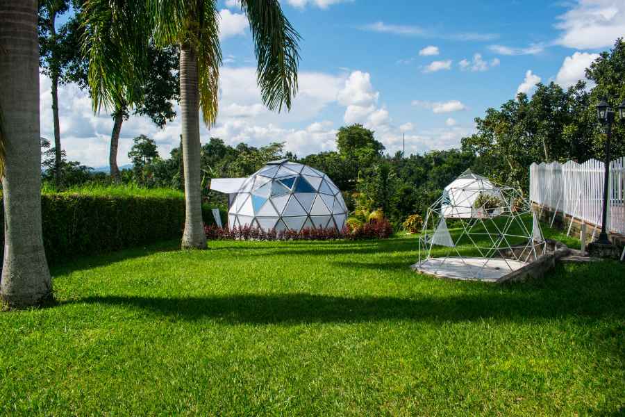 finca_armenia_rosario (21)