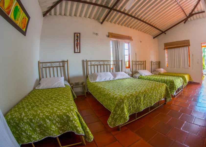 finca_armenia_rosario (28)