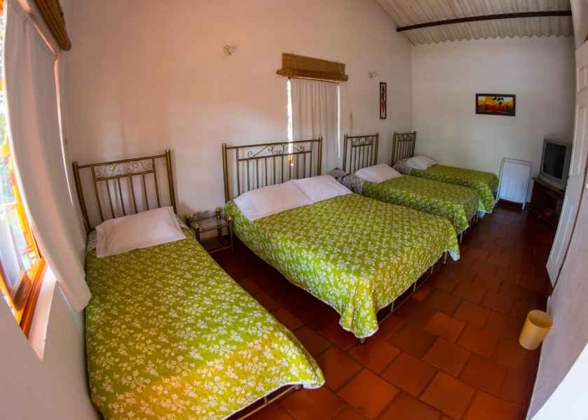 finca_armenia_rosario (37)