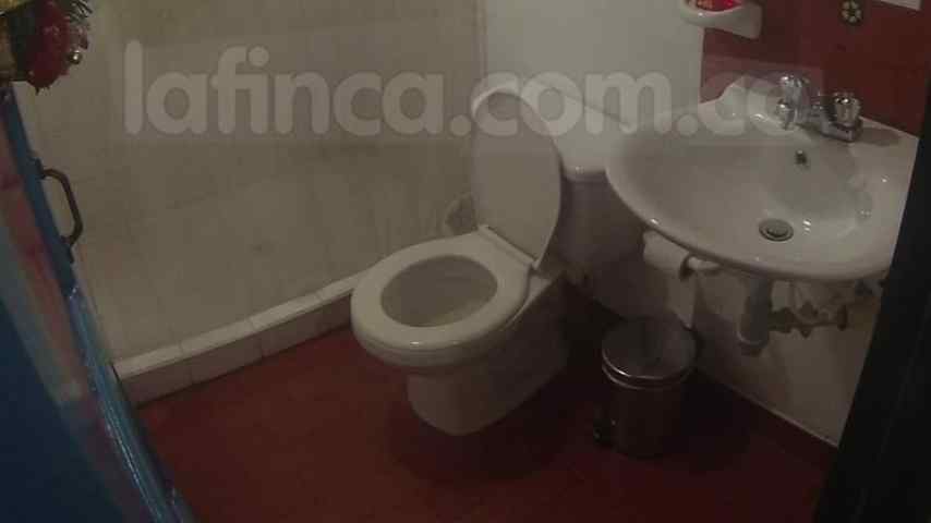 Finca Calarcá Arábica Fincas turísticas en Quindío - Calarcá Arabica