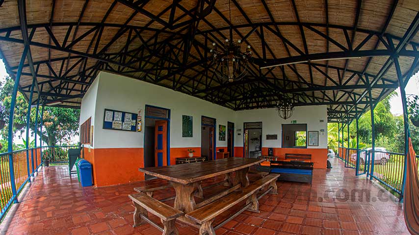 finca_calarca_azalea_07