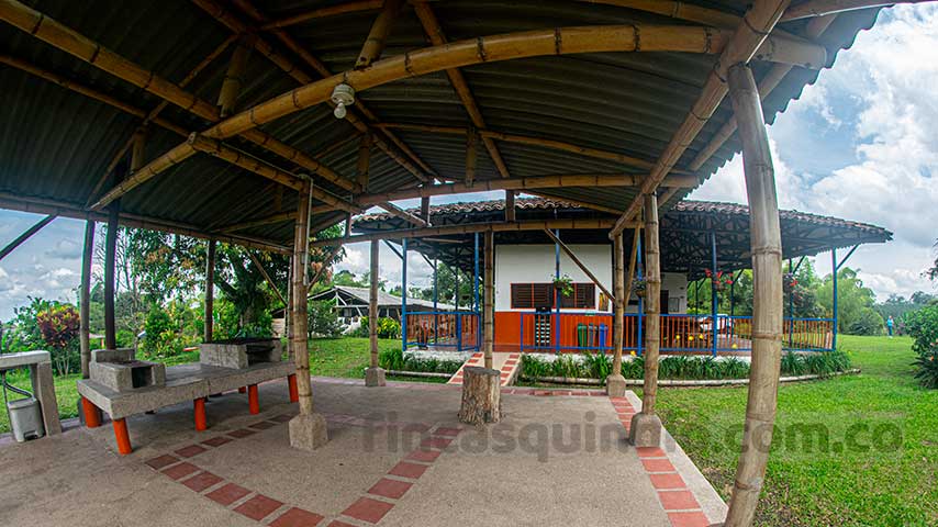finca_calarca_azalea_09