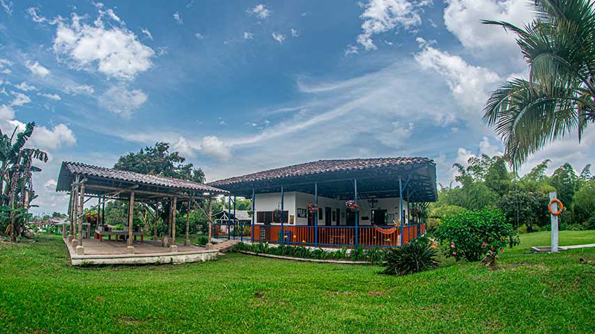 finca_calarca_azalea_10