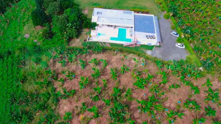 Finca Quimbaya Primavera Finca para alquilar en Quindío - Quimbaya Primavera