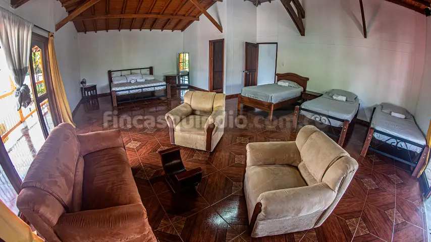 finca_tebaida_frambuesa (1)