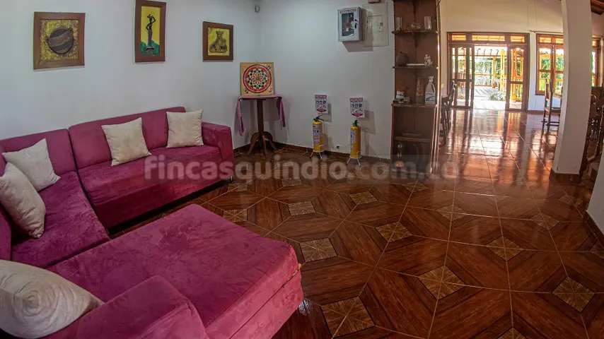 finca_tebaida_frambuesa (11)