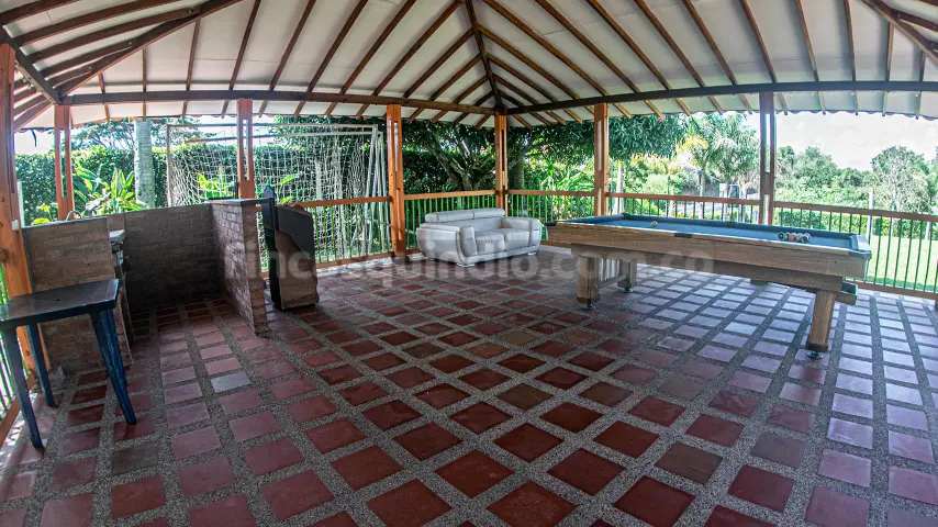 finca_tebaida_frambuesa (23)