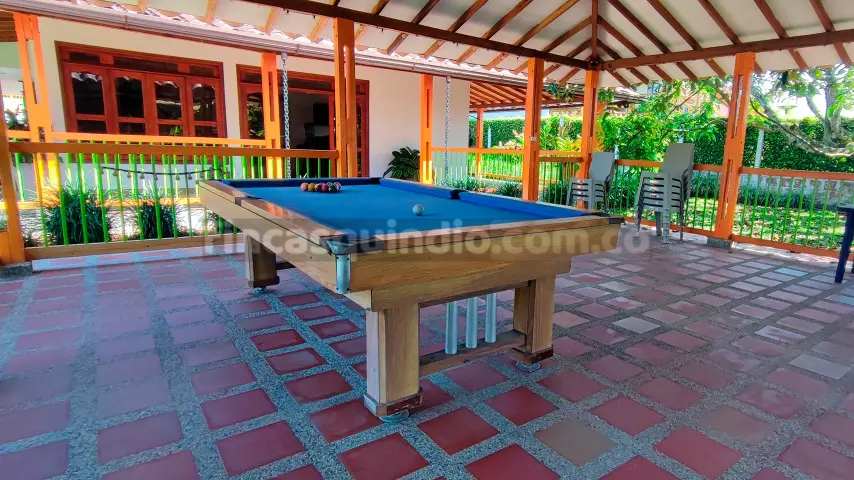 finca_tebaida_frambuesa (25)