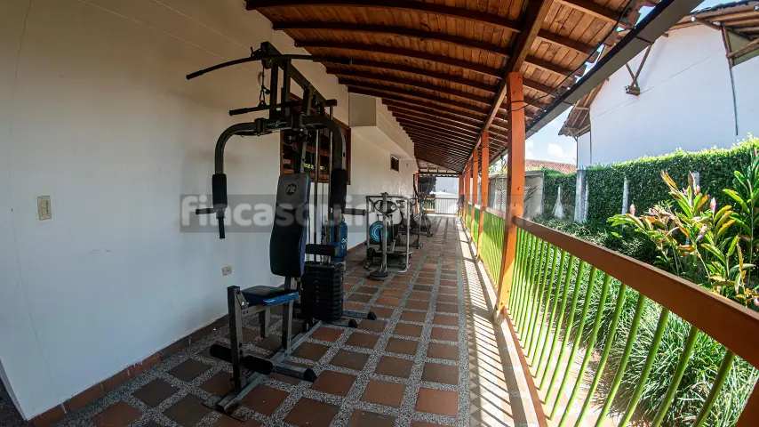 finca_tebaida_frambuesa (27)