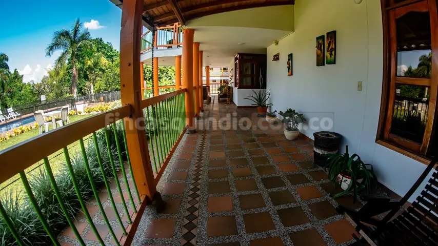 finca_tebaida_frambuesa (29)