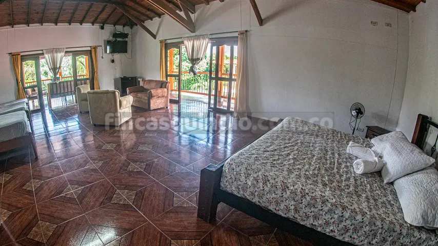 finca_tebaida_frambuesa (3)