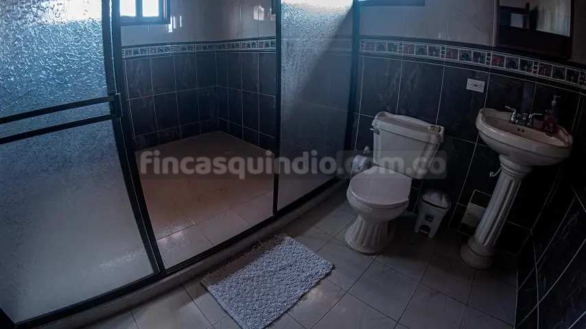 finca_tebaida_frambuesa (4)