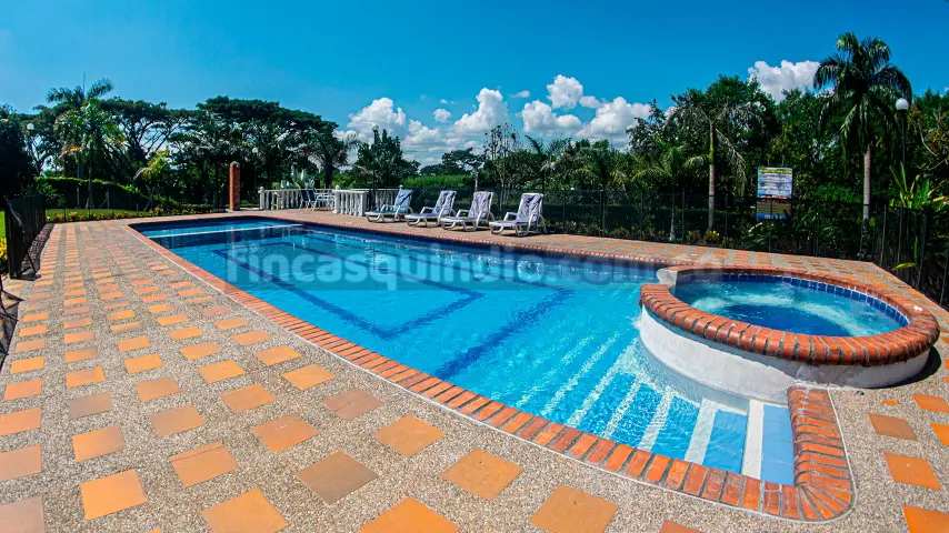 finca_tebaida_frambuesa (46)