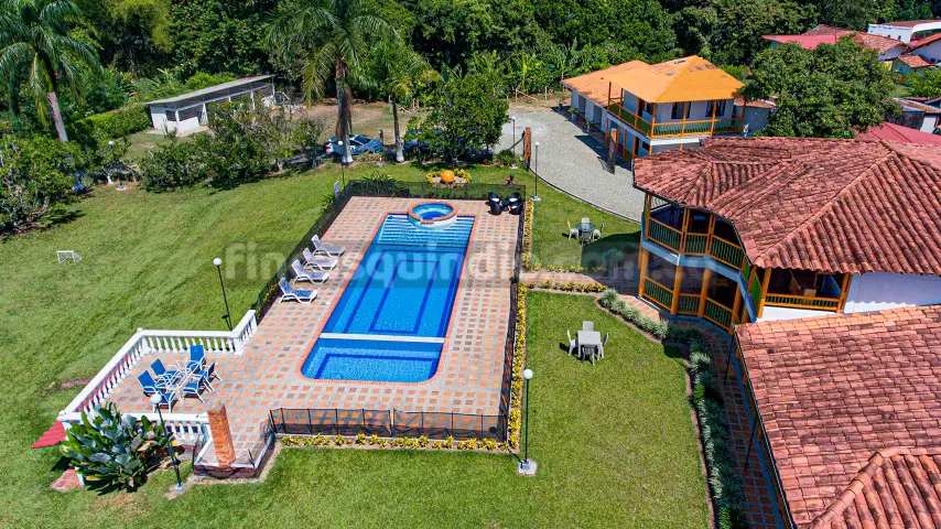 finca_tebaida_frambuesa (56)