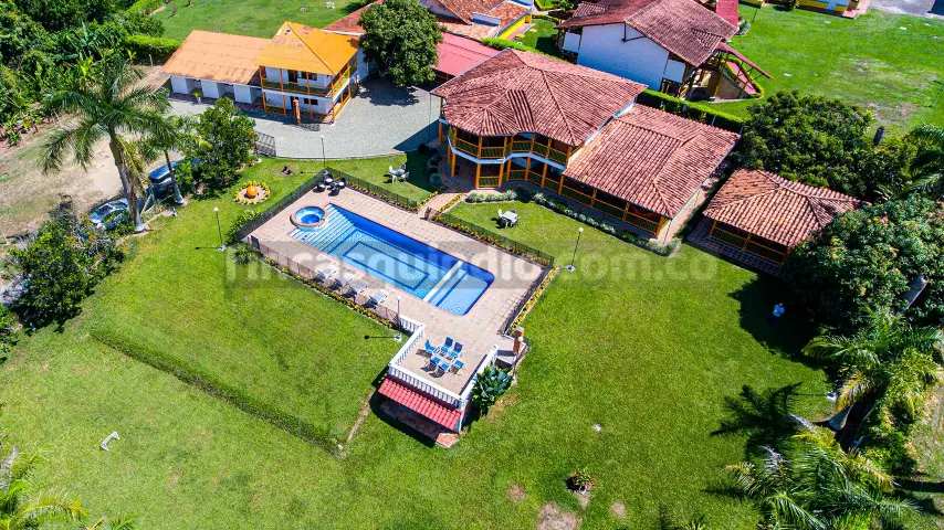 finca_tebaida_frambuesa (61)