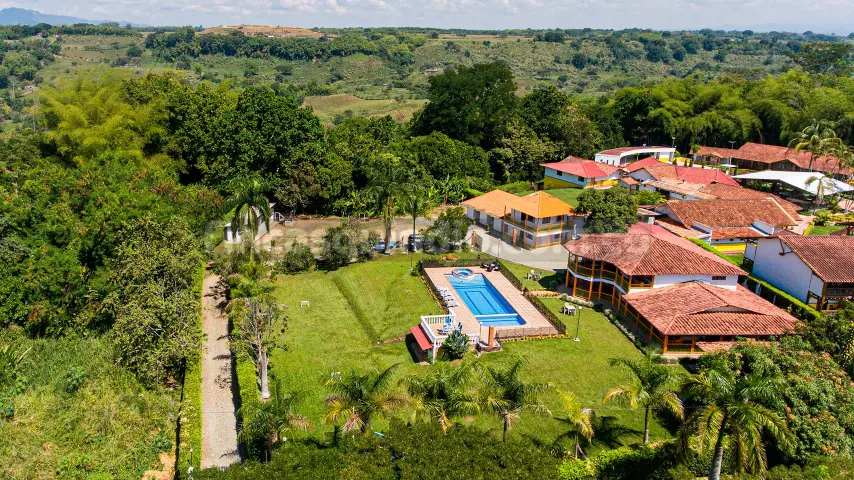 finca_tebaida_frambuesa (64)