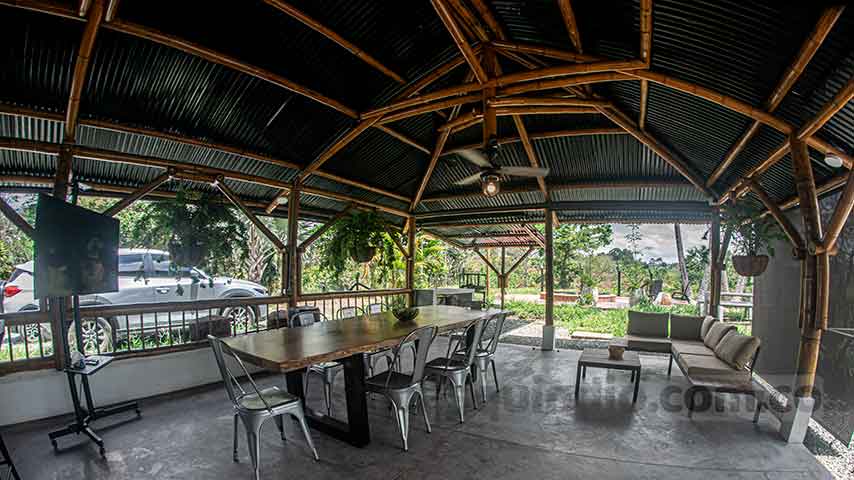montenegro_cedro_17