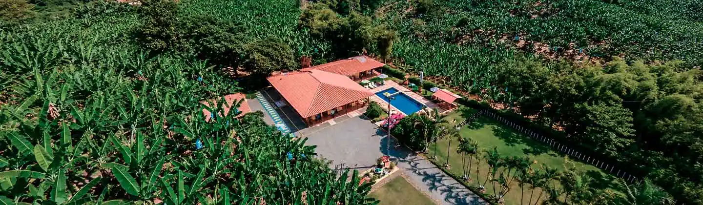 Finca Armenia Curuba