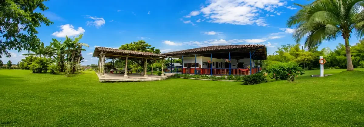 Finca Calarcá Azalea
