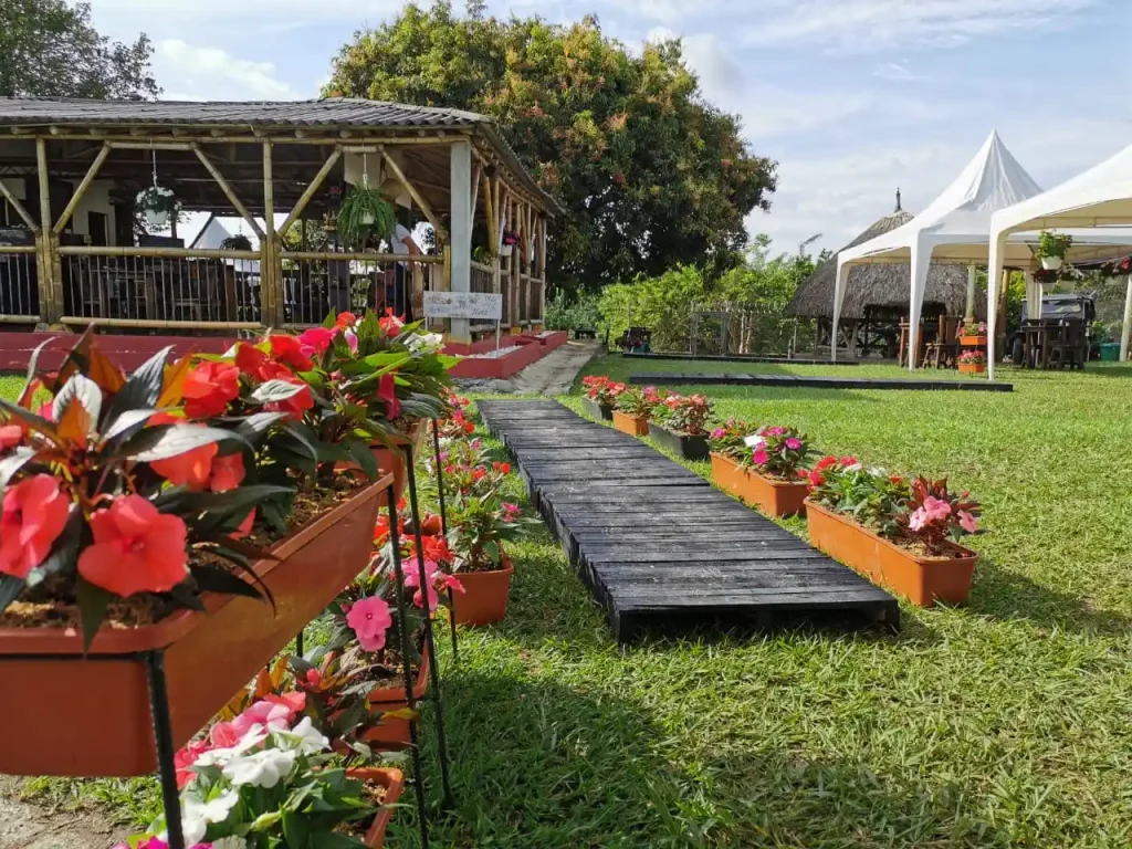 Sendero con flores, jardines y espacios cubiertos de Café La Morelia en El Caimo, Armenia
