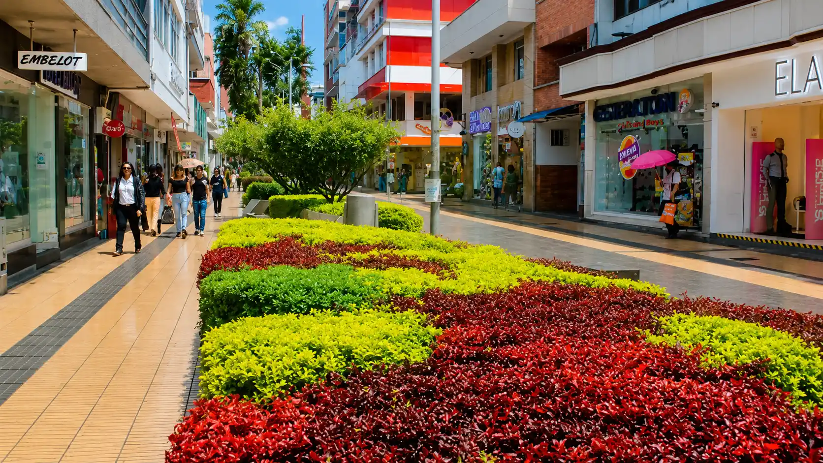 Paseo peatonal con jardines, comercios y visitantes en el centro de Armenia, Quindío