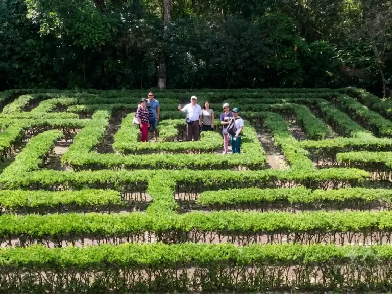 Jardin Botanico del Quindio en Calarca para contenidos de turismo en Calarca, Quindio y el Eje Cafetero