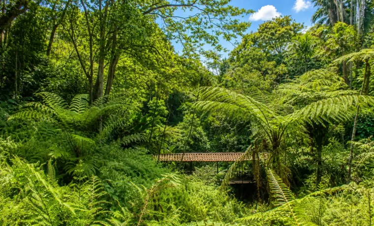 Jardin Botanico del Quindio en Calarca para contenidos de turismo en Calarca, Quindio y el Eje Cafetero