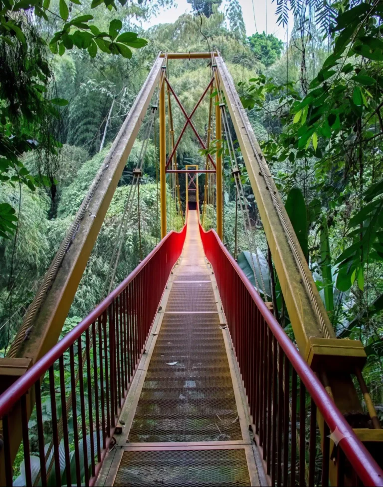 Jardin Botanico del Quindio en Calarca para contenidos de turismo en Calarca, Quindio y el Eje Cafetero