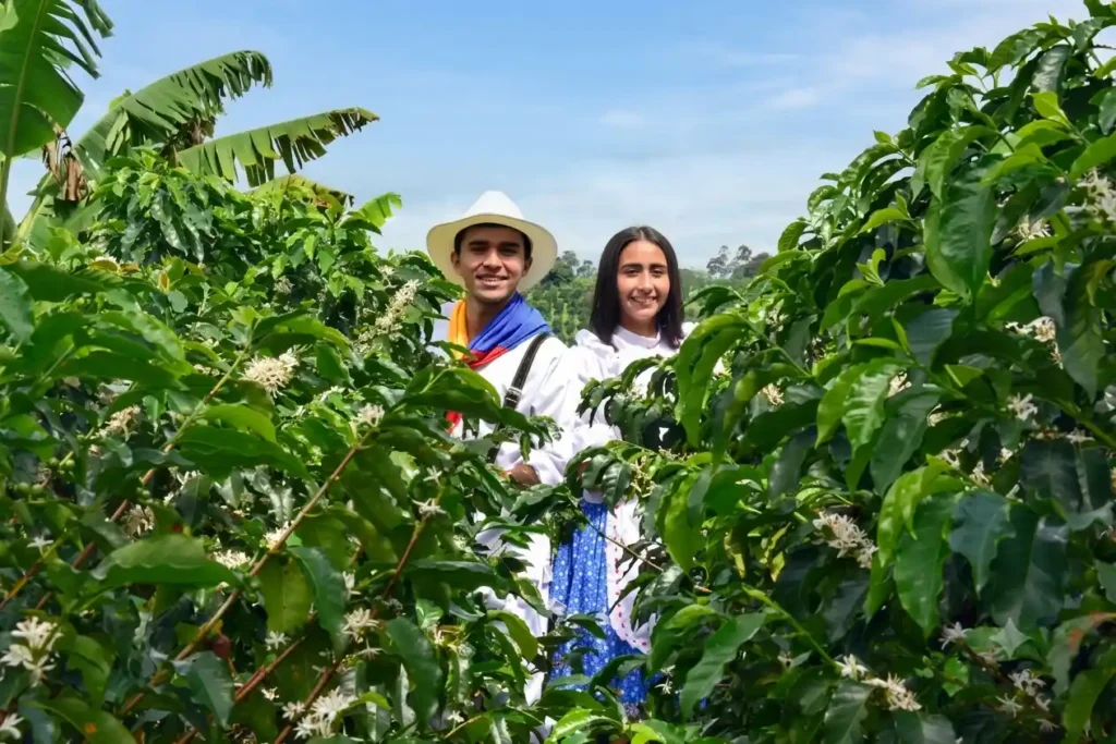 Recuca en Calarca para contenidos de turismo en Calarca, Quindio y el Eje Cafetero