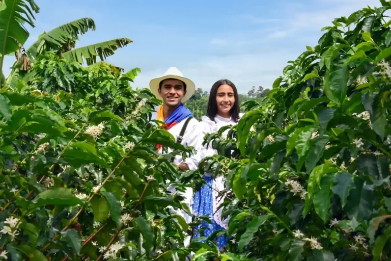 Recuca en Calarca para contenidos de turismo en Calarca, Quindio y el Eje Cafetero