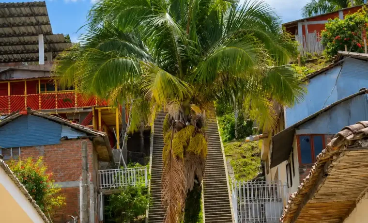 Escalinata y torre de madera del Mirador Alto de la Cruz en Circasia, Quindío