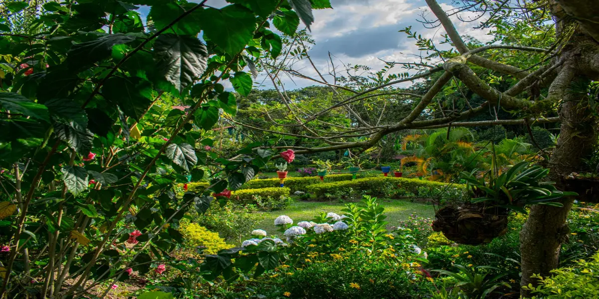 Jardines y zonas verdes de una finca en Montenegro, Quindío