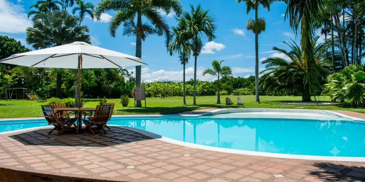 Piscina campestre con sombrilla, mesa y palmas en el jardín