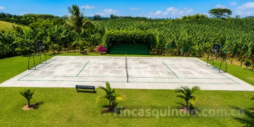 Cancha múltiple con tableros de baloncesto y malla de tenis en Finca Alcalá Almendro