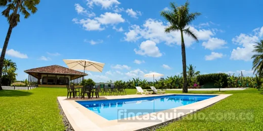 Piscina privada con asoleadoras, sombrillas y zona verde en Finca Alcalá Almendro
