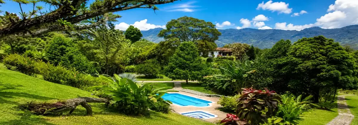 Finca Calarca Arabica