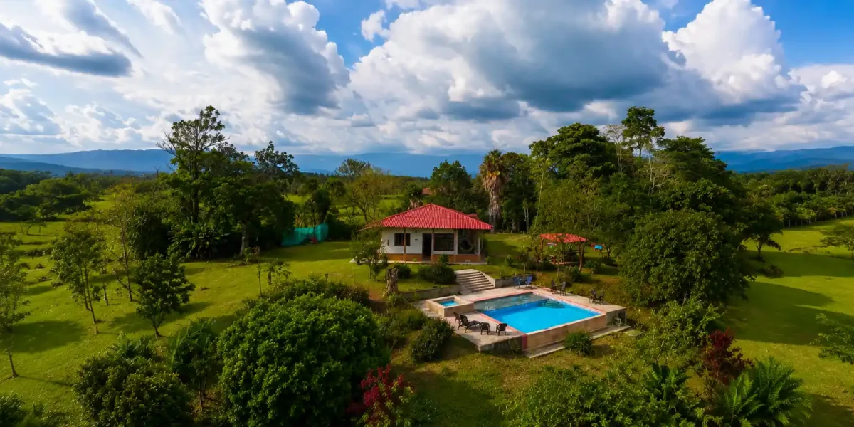 Finca Quimbaya Anturio