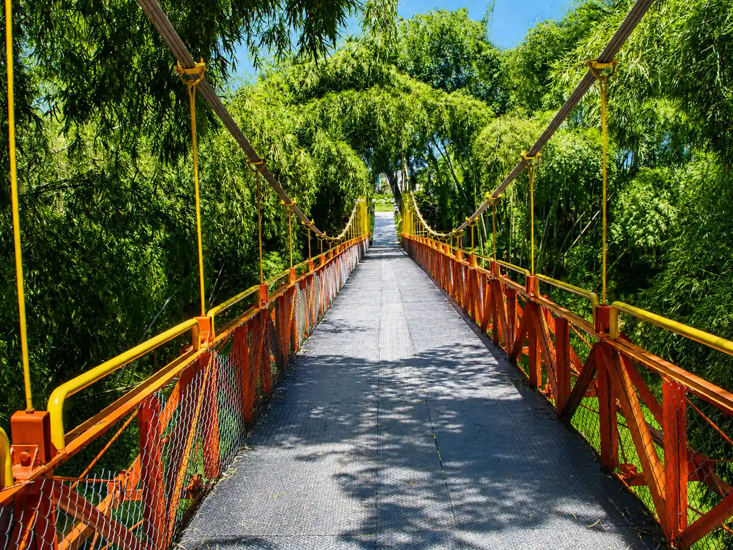 Puente colgante del Parque del Cafe en Montenegro, Quindio, rodeado de vegetacion y ambiente cafetero.