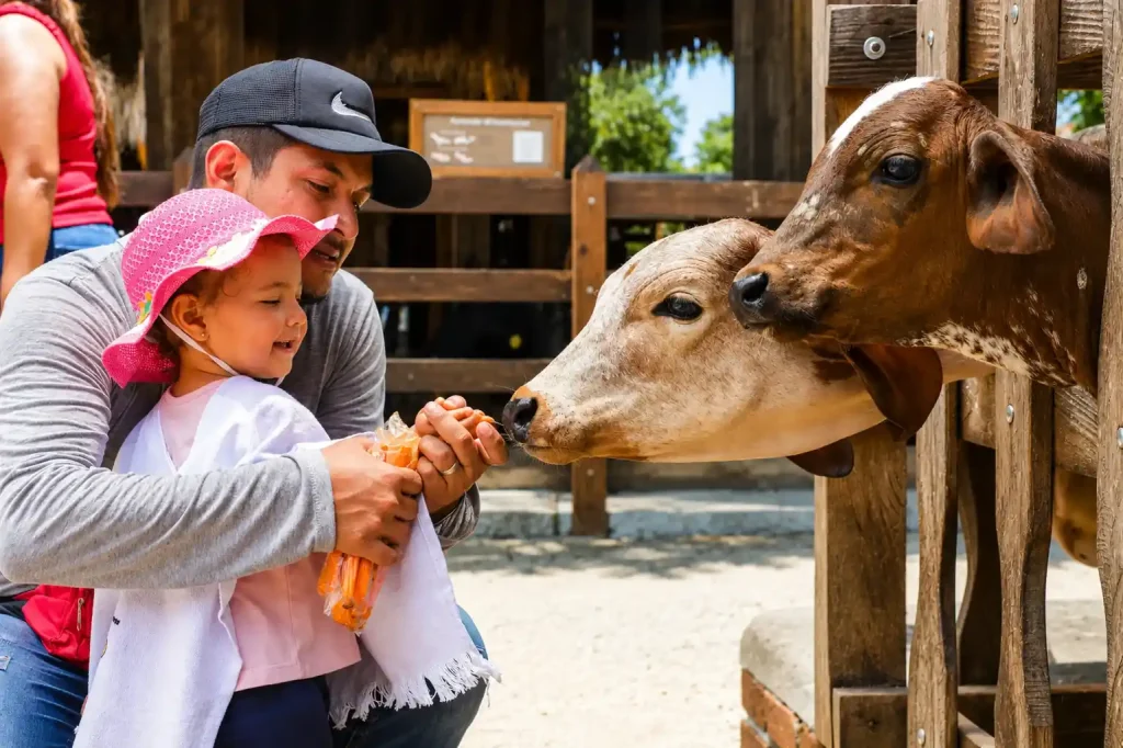 Qué hacer en el Quindío con niños