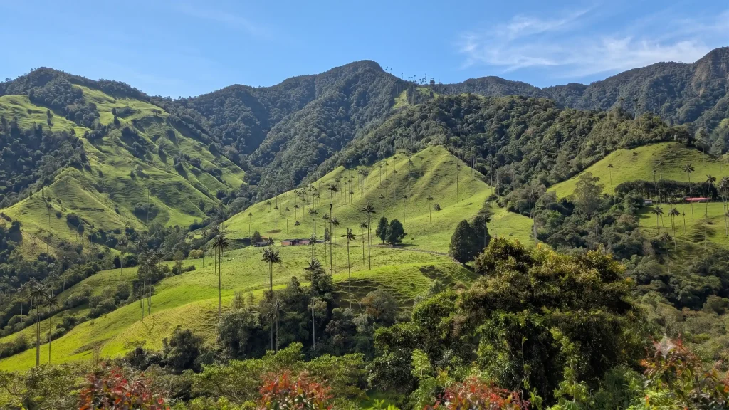 Montañas y praderas verdes del Valle de Cocora vistas desde un mirador natural
