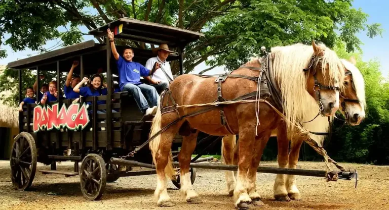 Familias durante un recorrido en carruaje tirado por caballos en PANACA